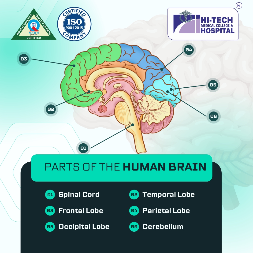 Common neurology problems by Hi-tech hospital image 21
