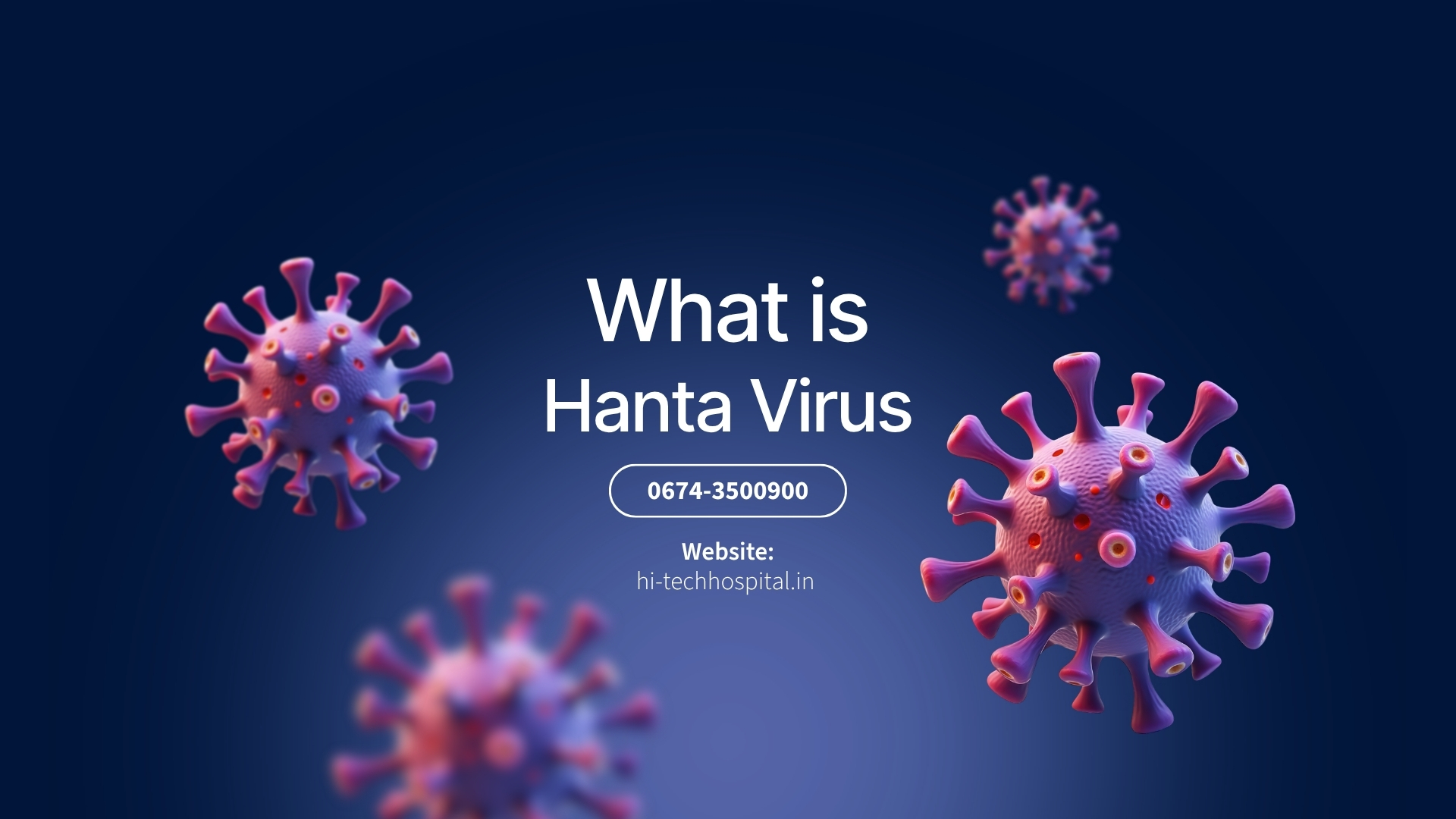 What is Hantavirus?
